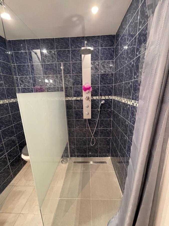 Studio 23 M2+Wifi +Parking Prive Aparthotel Oullins Buitenkant foto
