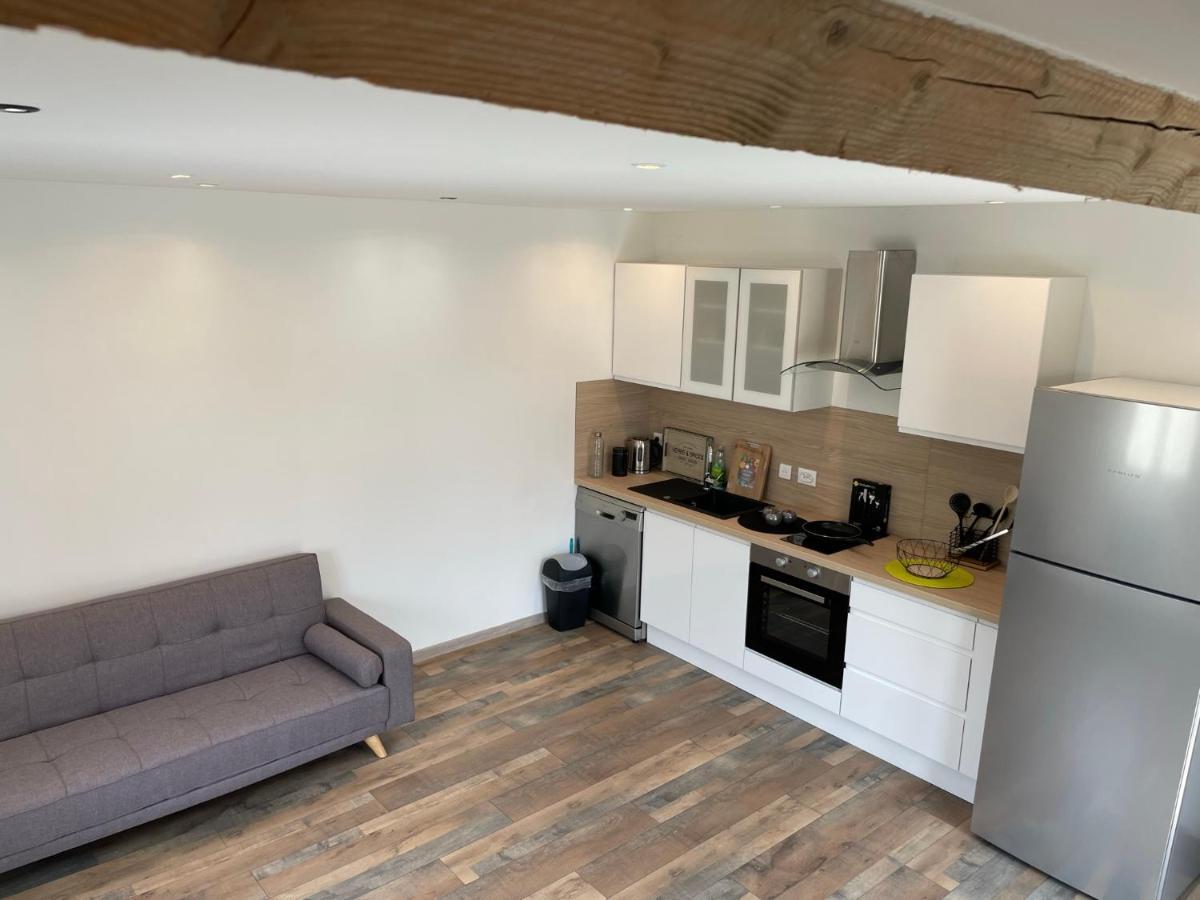 Studio 23 M2+Wifi +Parking Prive Aparthotel Oullins Buitenkant foto